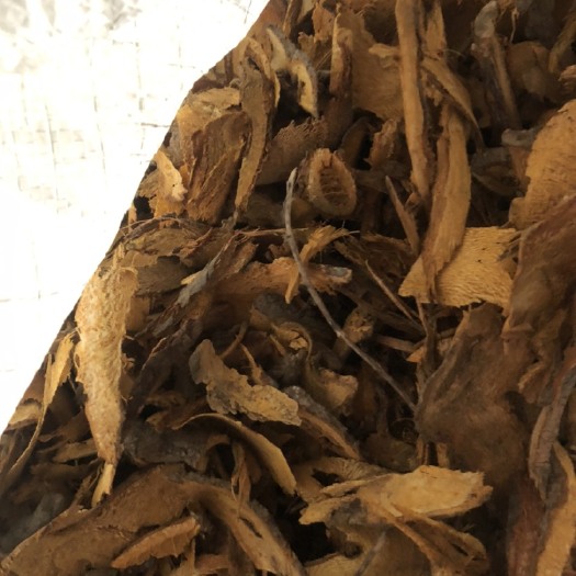 永丰县 虎杖片