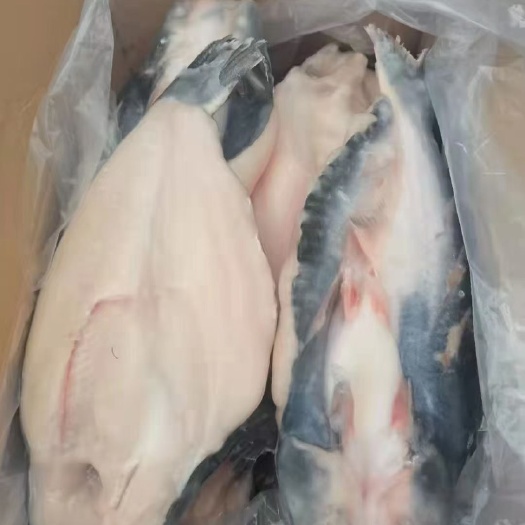 巴沙鱼 开背鱼15斤20斤，全规格。全条数，现货