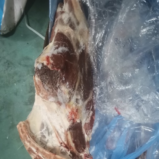 羊腿肉 新西兰130老羊后腿