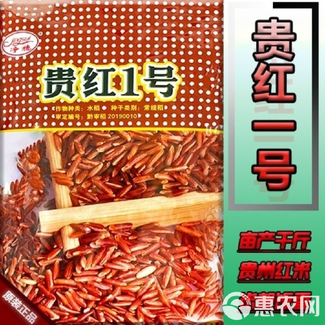 贵红1号水稻种子 红米水稻种子 贵红一号 胭脂米 矮杆