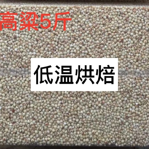 成都白高粱 熟高粱低温烘焙五谷杂粮豆浆磨粉原料