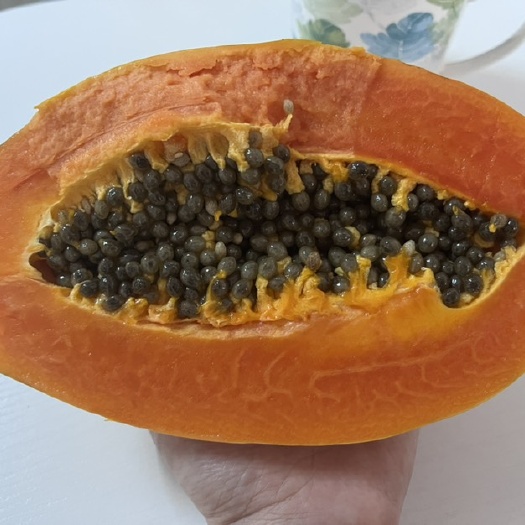 三亚 红心木瓜 海南热带水果 孕妇水果