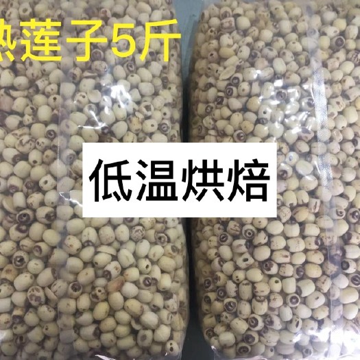 成都白莲子 熟莲子低温烘焙莲米五谷杂粮磨粉豆浆原料