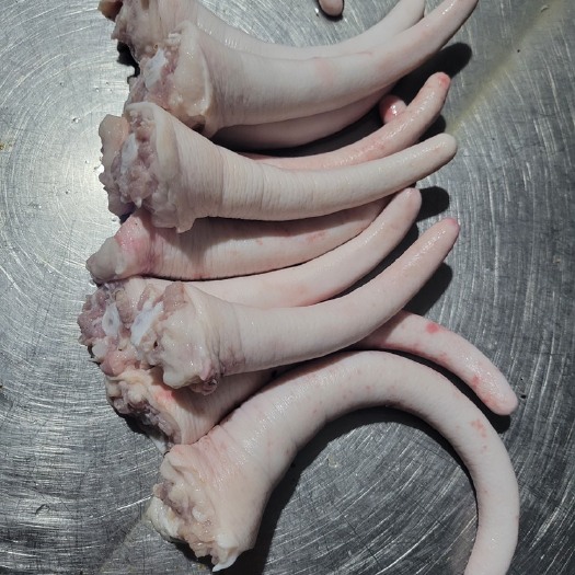 濉溪县一手货 精品鲜冻猪尾巴 中猪尾 生猪尾干净无毛卤菜饭店食材