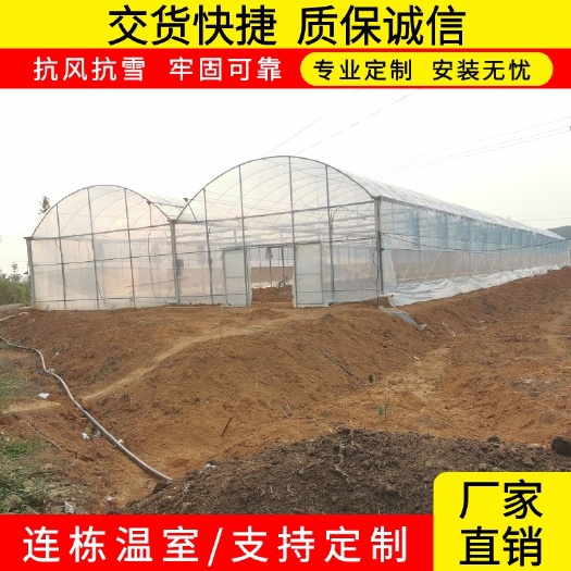 无锡养殖大棚  专业设计安装蔬菜大棚，连栋大棚，玻璃温室大棚