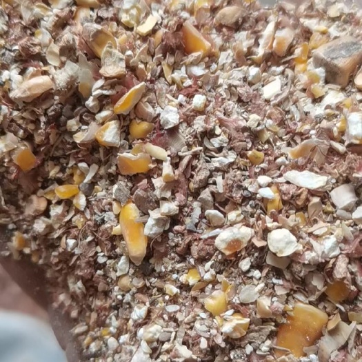 聊城玉米渣 大量鸡鸭鹅玉米下脚料现货 过风碎玉米 净粮 毛粮