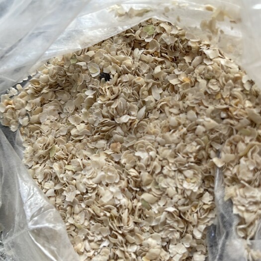 招远市豆壳 豌豆皮