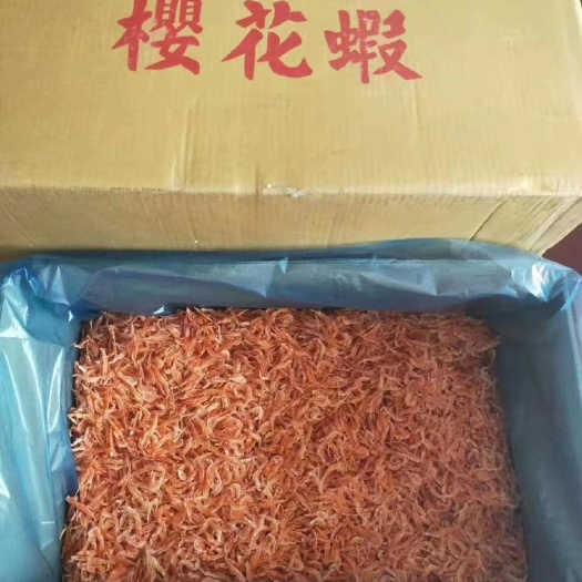 烟台樱花虾 樱花虾