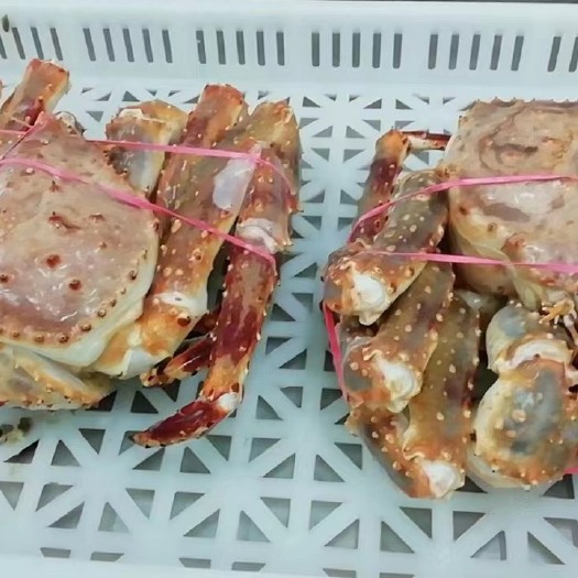 烟台帝王蟹