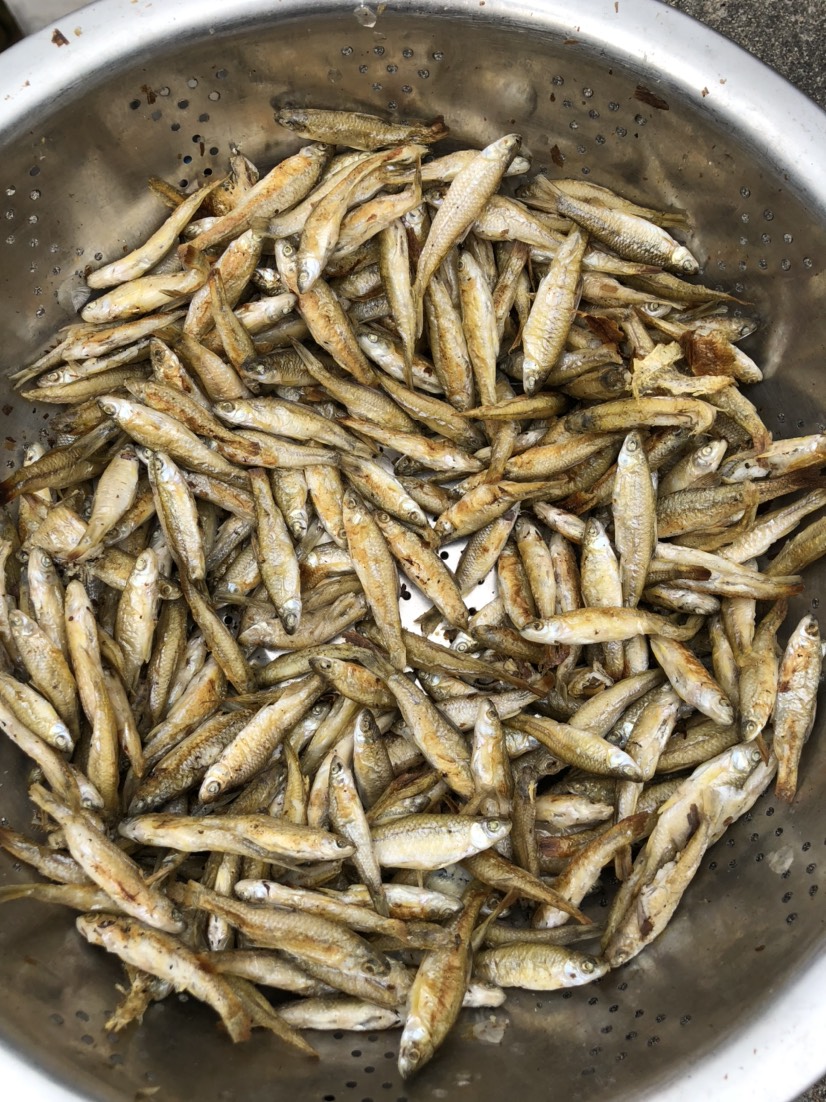 專營小魚加工批發(fā)
