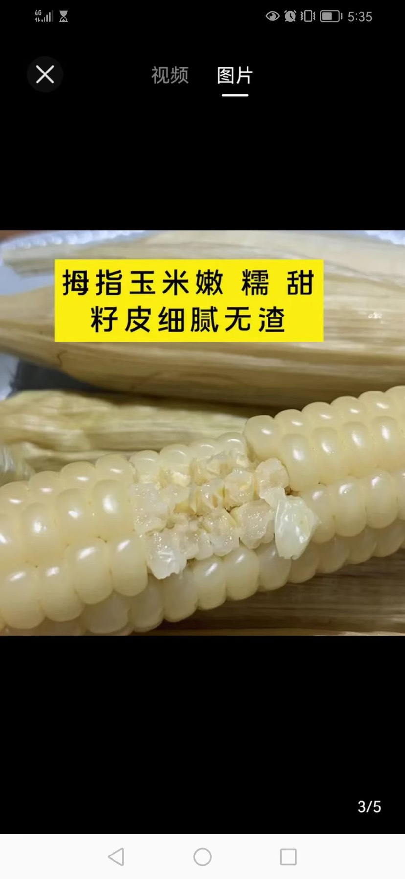  拇指糯玉米（熟）好吃到想哭
