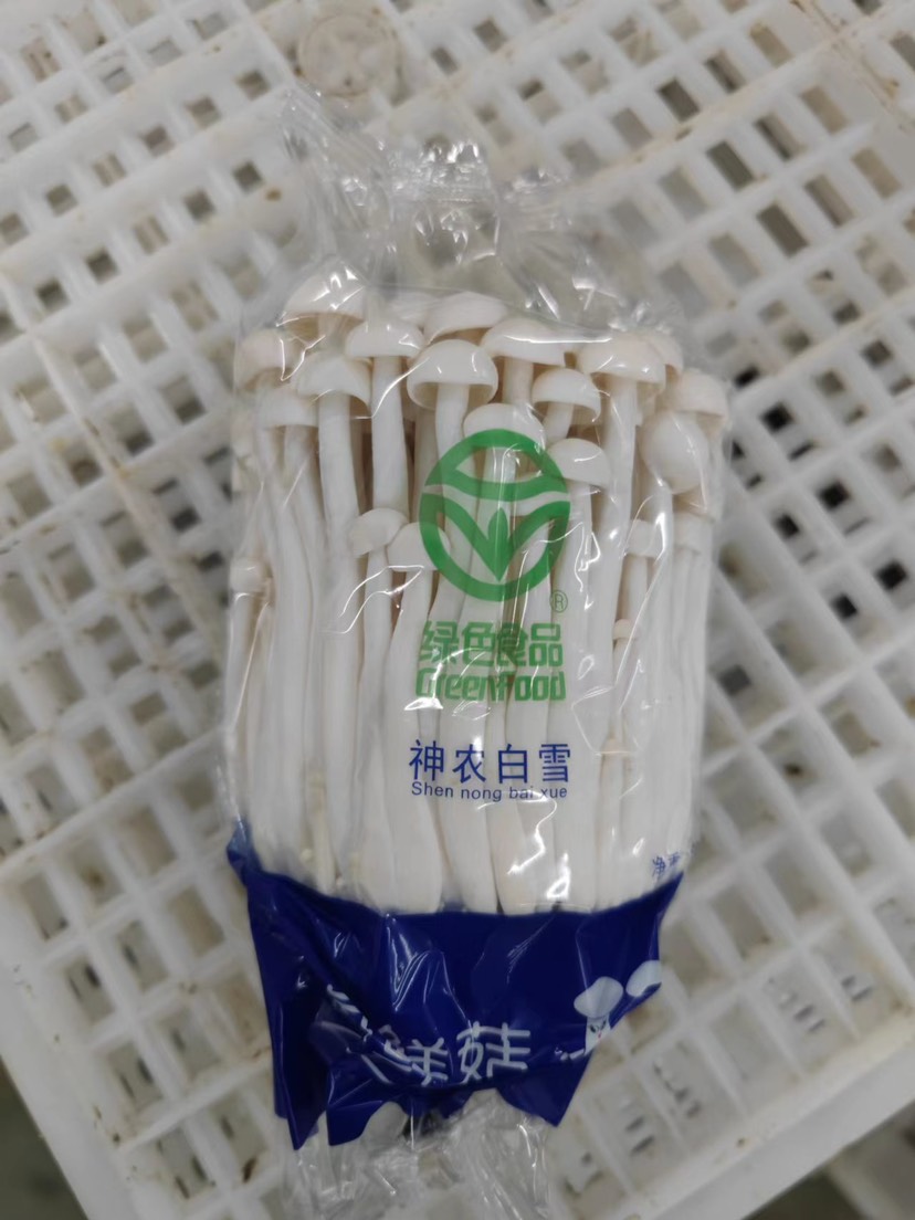 海鮮菇 工廠化 250克精美包裝 廠家直銷(xiāo)貨源充足 質(zhì)量保
