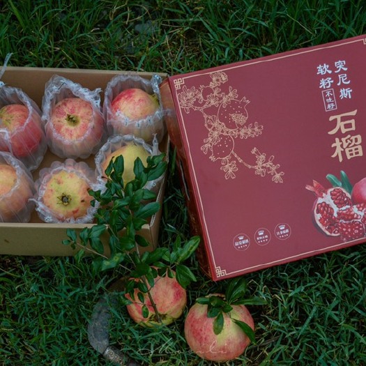 永胜县 突尼斯软籽石榴