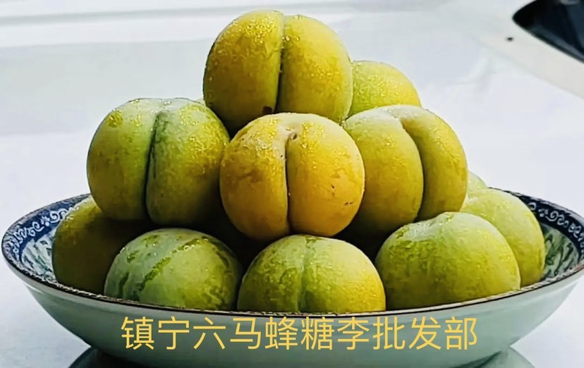镇宁县镇宁蜂糖李六马蜂糖李脱骨李孕妇李