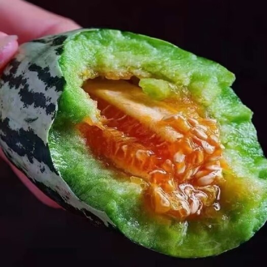 莘县博洋甜瓜  博洋9号甜瓜 博洋9号