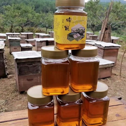 祁东县油菜蜜 湖南油菜花结晶蜜波美度40以上土蜂蜜蜂塑料玻璃瓶装