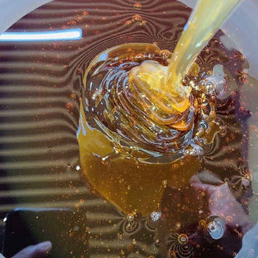 惠州枣花蜜 河北酸枣蜂蜜
