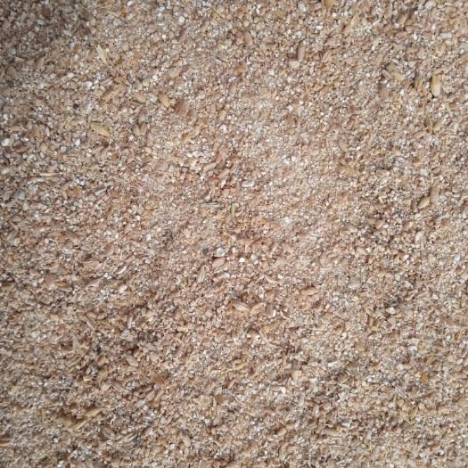 满洲里市碎麦 粗磨小麦碎粒