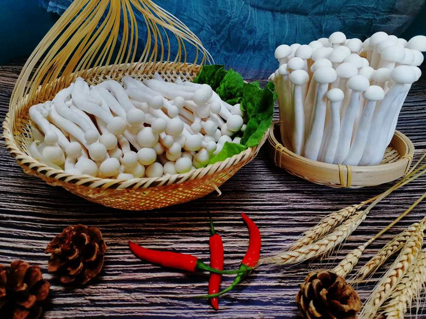 海鲜菇 400克整朵过膜 包装精美 工厂直销