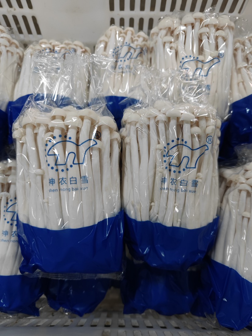 海鲜菇 400克整朵过膜 包装精美 工厂直销