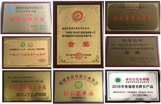 海鲜菇 400克整朵过膜 包装精美 工厂直销