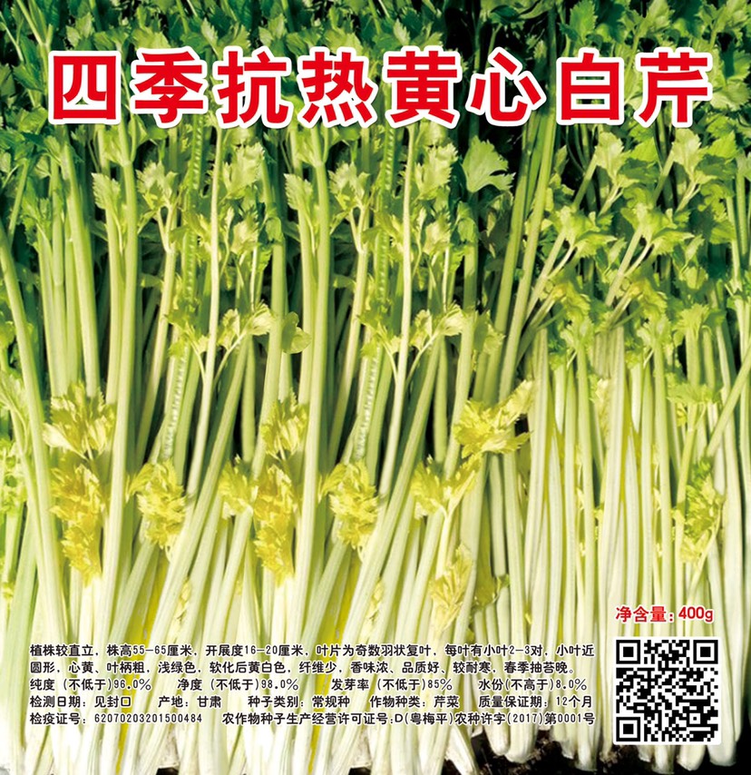 平远县黄心芹菜种子  金顺黄心白芹 香芹菜种子 袋装400克