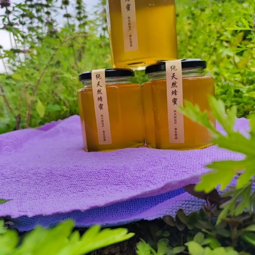 【优】广西中蜂 蜂蜜 土蜂蜜 百花蜜 蜂场直供 欢迎联系