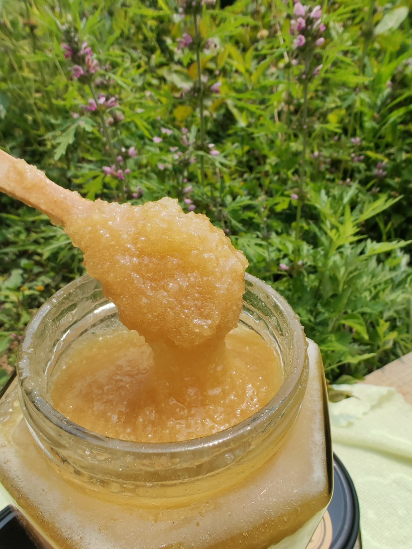 【优质】广西中蜂土蜂蜜 蜂蜜 枇杷蜜 蜂场直供 欢迎联系