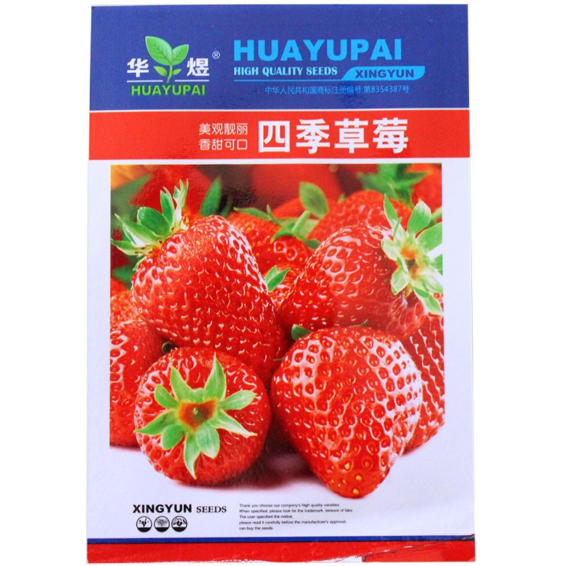 邵东市奶油草莓种子 大红草莓 超甜可口 四季易种