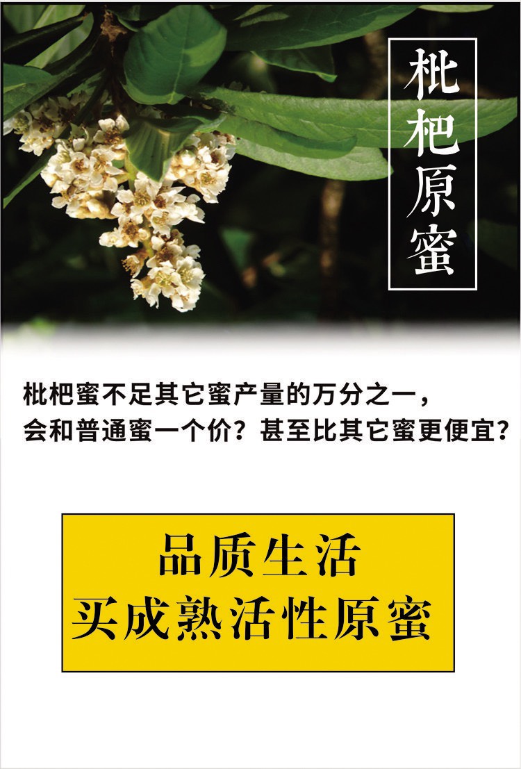 【优质】广西中蜂土蜂蜜 蜂蜜 枇杷蜜 蜂场直供 欢迎联系