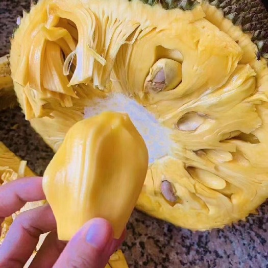 三亚三亚菠萝蜜，自家果园种植，干包无浆