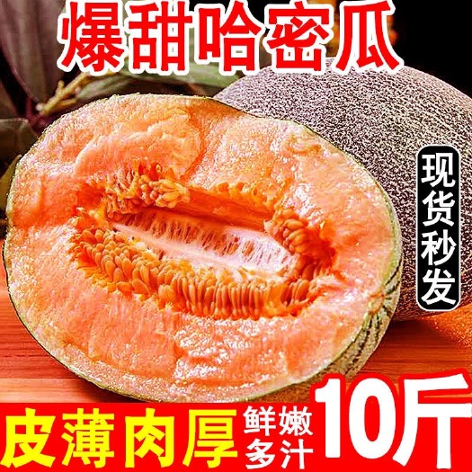 长沙 【甜蜜多汁】海南哈密瓜孕妇新鲜水果玫珑瓜西州蜜瓜网纹瓜批发价