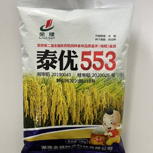 华容县泰优553晚稻杂交水稻种子米质优高产饭好吃抗性强正品
