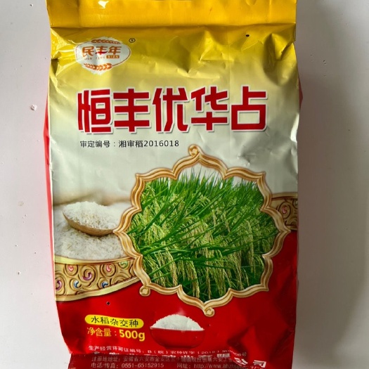 华容县恒丰优华占 籼型三系杂交迟熟晚稻水稻种子生育期121天