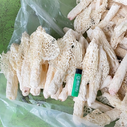 修文县红托竹荪  贵州竹荪，织金竹荪，干品