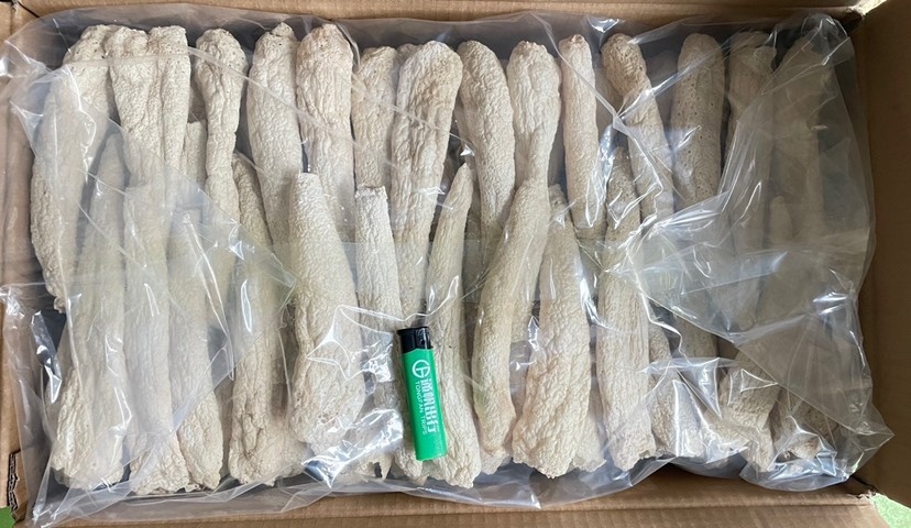 大方县无裙竹荪   贵州特产菌品，大方冬荪