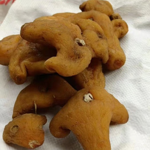 昆明 滇黄精干货