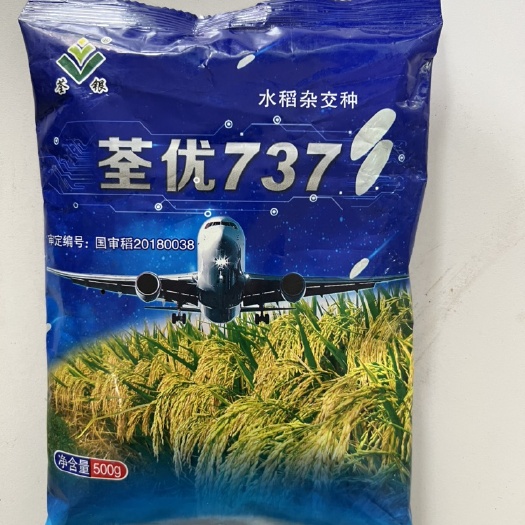 华容县荃优737水稻种子 国审稻荃优737杂交一季中稻水稻种子生育
