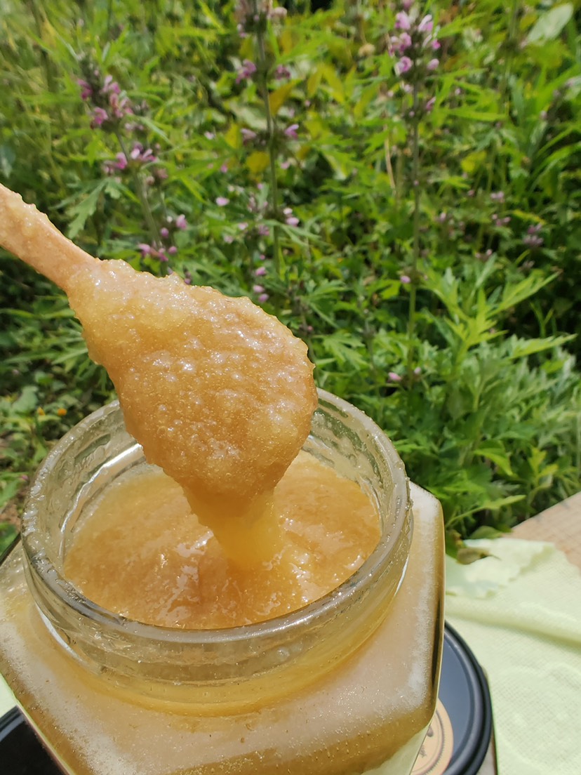 【优质】广西中蜂土蜂蜜 蜂蜜 枇杷蜜 蜂场直供 欢迎联系