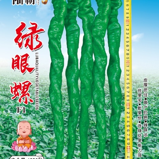 泌阳县 螺丝椒种子