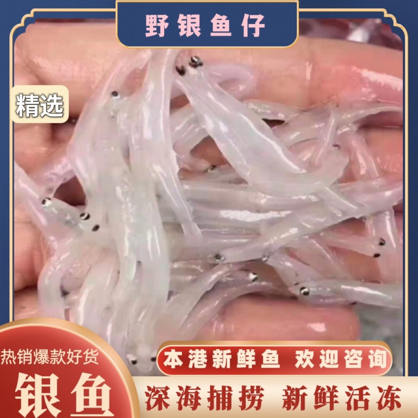 阳江小银鱼  250g 天然 新鲜海捕小银鱼 精选品质 全国发货