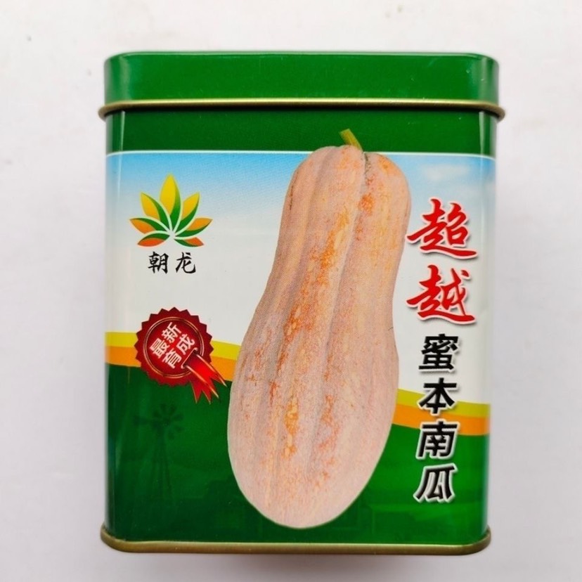 华容县 超越蜜本南瓜种子 大果中熟 肉质粉甜可口 瓜皮橙黄色500粒