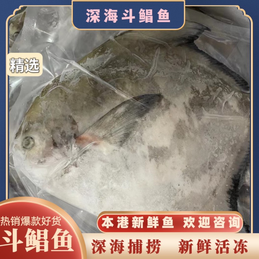 斗鲳鱼 深海海捕新鲜活冻冷冻 天然 精选品质 全国发货