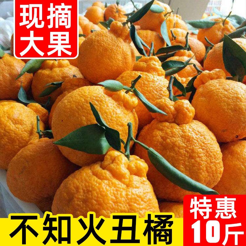  四川不知火丑橘新鲜丑八怪橘子当季水果桔子柑橘整箱10斤批发现