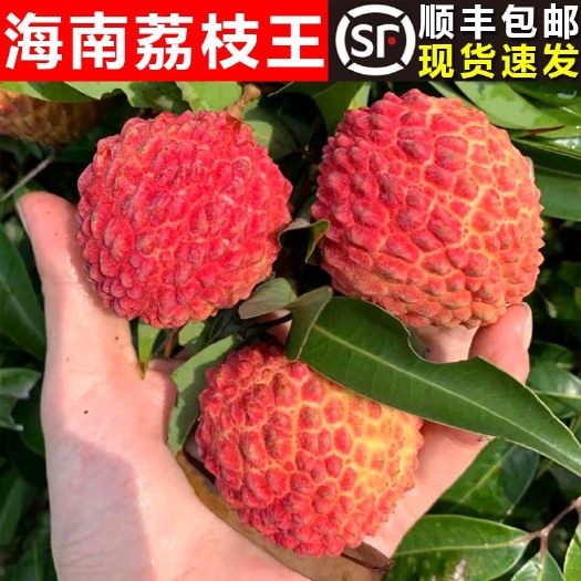 海口海南永兴荔枝王，自家果园代发代办