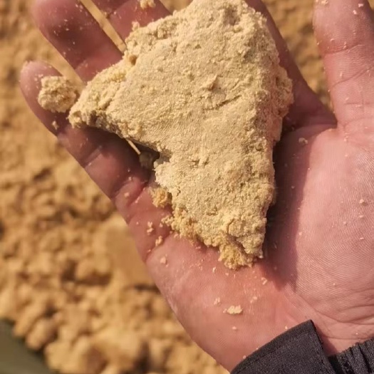 安丘市玉米渣，水分低蛋白含量高，用来养殖真不错