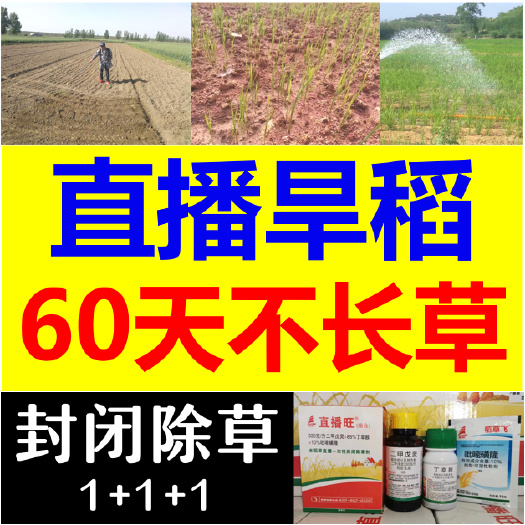 丁草胺  1+1+1旱稻除草剂水稻旱直播封闭除草剂不长草