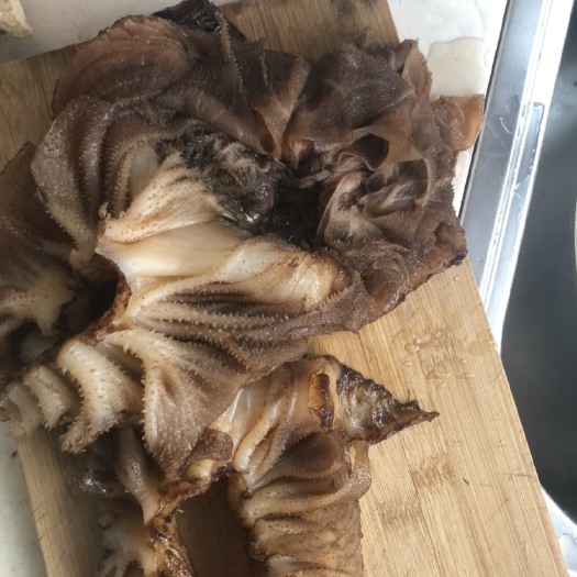 济南 毛肚边角