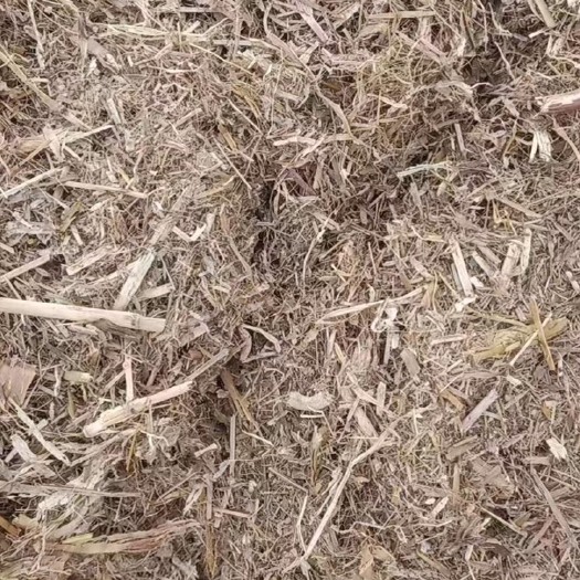 正定县 过筛玉米秸秆草料 牛羊草料
