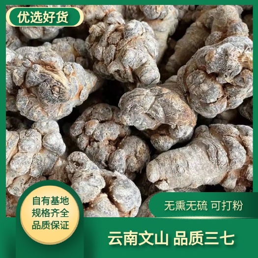 【三七】戴帽三七精品10头20头30头规格齐全【质量保障】